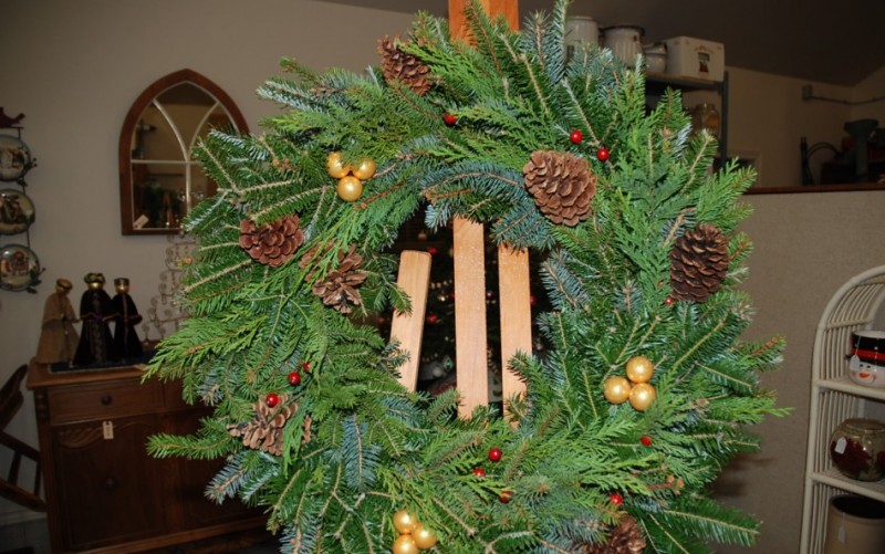 Norfolk County Christmas Tree